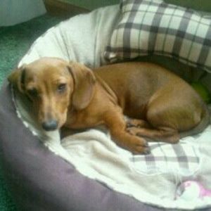 Meet your Posher, Kevin